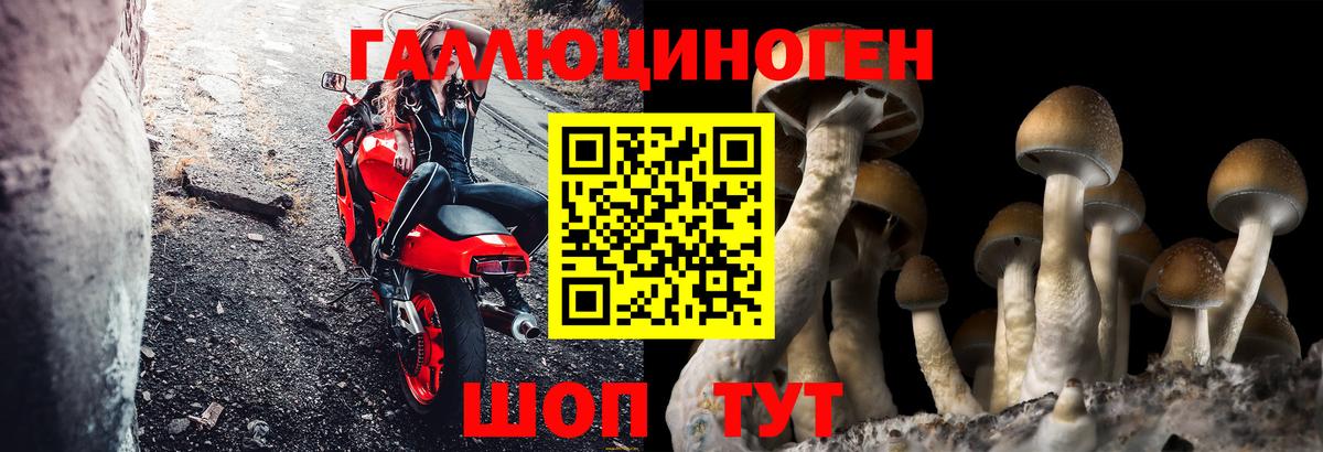 Дальнереченск  Псилоцибиновые грибы GOLDEN TEACHER  Псилоцибиновые грибы мицелий  Вход с VPN 